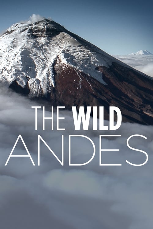 Poster della serie The Wild Andes