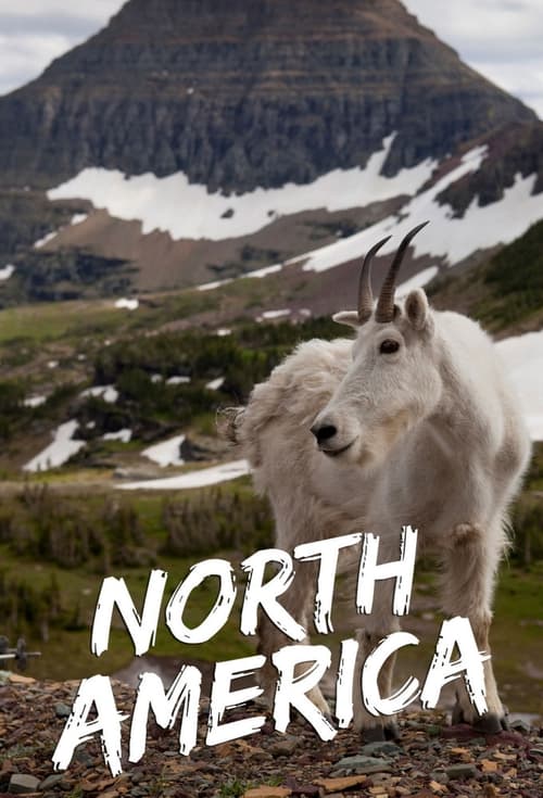 Poster della serie North America