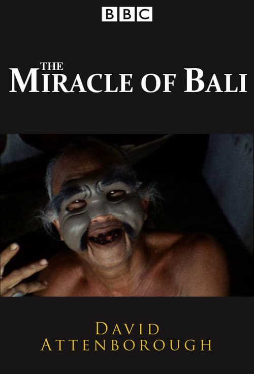 Poster della serie The Miracle of Bali