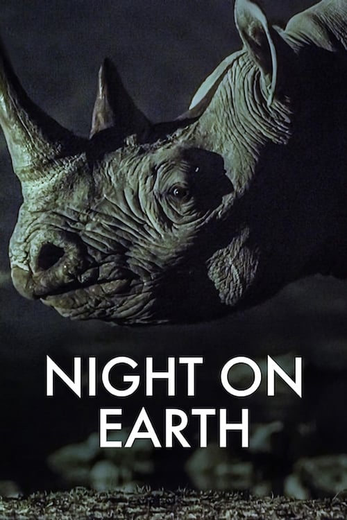 Poster della serie Night on Earth