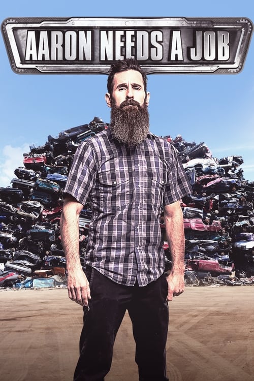 Poster della serie Aaron Needs a Job