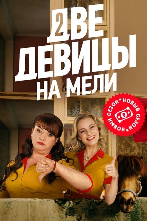 Poster della serie Two Broke Girls
