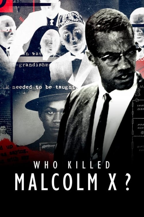 Poster della serie Who Killed Malcolm X?