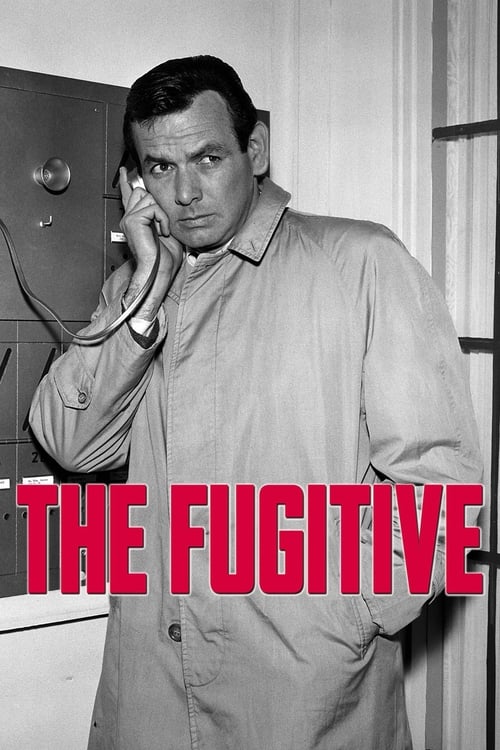 Poster della serie The Fugitive
