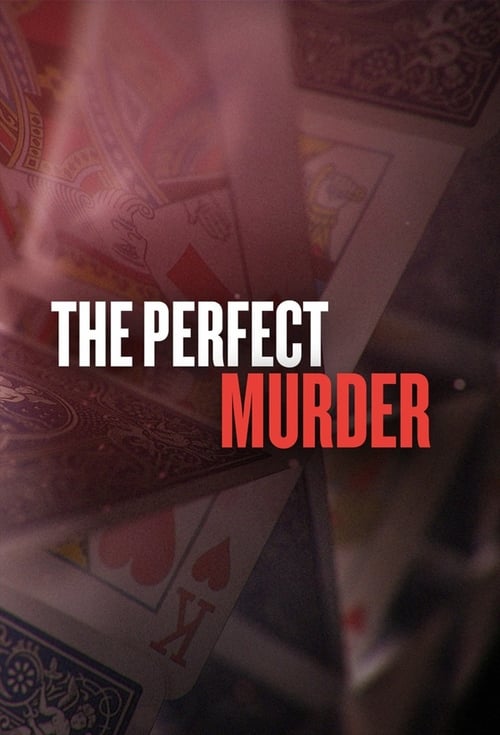 Poster della serie The Perfect Murder