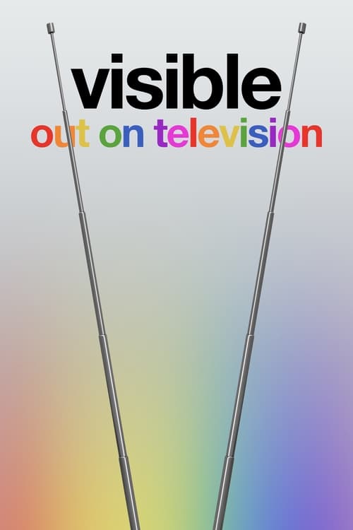 Poster della serie Visible: Out On Television